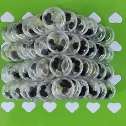 جامع امام رضا سه حب مرکب 5