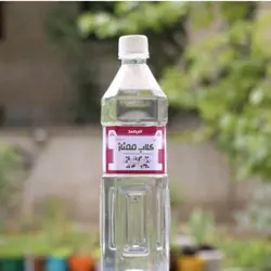 گلاب مرغوب کاشان طعام البرکت تازه و معطر کد275