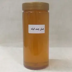 عسل چند گیاه فدک کاملا طبیعی و ارگانیک مزرعه سید احمد بلندنظر