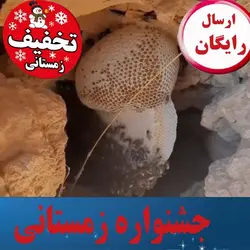 عسل طبیعی گون آویشن یک کیلویی و فوریمستقیم از زنبوردار