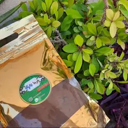 قهوه هسته خرما بسته بندی 1کیلویی کاملا طبیعی