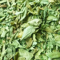 کرفس کوهی