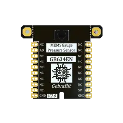 ماژول فشار گیج GebraBit 2SMPP-02