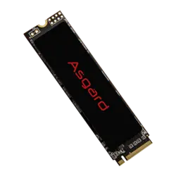 هارد اس اس دی ازگارد AN2 M.2 NVMe 250GB | گسترش تجارت تابا