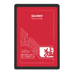 حافظه اس اس دی گلووی Fer 250GB SATA III | گسترش تجارت تابا