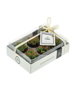 بسته 6 عددی شمع طرح کاکتوس سی بی ام