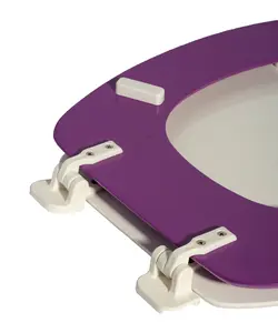 درب توالت فرنگی طرح دار تندنس