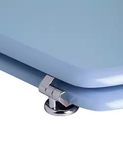 درب توالت فرنگی تندنس