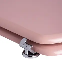 درب توالت فرنگی تندنس