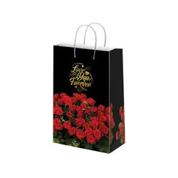 ساک دستی هدیه گلاسه کد 10064