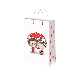 ساک دستی هدیه گلاسه کد 10253