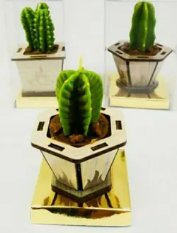 شمع کاکتوس شش ضلعی دونه ای