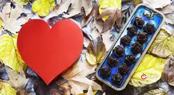رز باکس لواشک قلب کادوئی