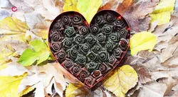 رز باکس لواشک قلب کادوئی