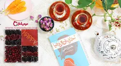 باکس ترکیبی لواشک و آلبالو