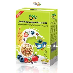 گرونولا غلات صبحانه جودوسرپرک طعم دار لاغری ماپین - 200 گرمی
