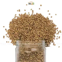 دانه گشنیز - 90 گرم - وگان
