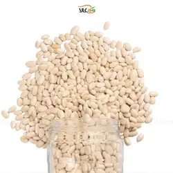 لوبیا سفید ممتاز - 600 گرم - وگان