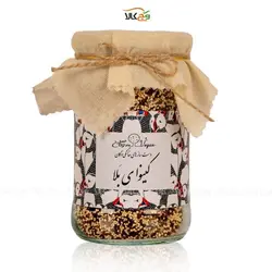 کینوا رنگی وگان - 600 گرم - بزرگ