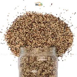 کینوا رنگی وگان - 600 گرم - بزرگ