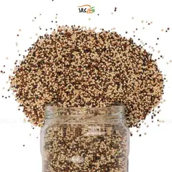 کینوا رنگی وگان - 200 گرم - کوچک