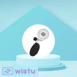 فشارسنج عقربه ای مدل SF19 امسیگ ضدضربه پالم