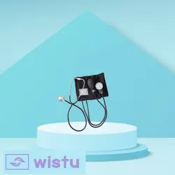 فشارسنج عقربه ای امسیگ مدل SP91