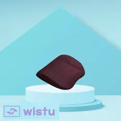 کوسن خودرویی زیکلاس مد مدل ZYK-CP - فروشگاه اینترنتی ویستو - خرید کوسن خودرویی زیکلاس مد ZYK-CP