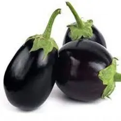 بادمجان دلمه