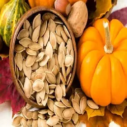 تخمه کدو گوشتی بوداده درجه یک