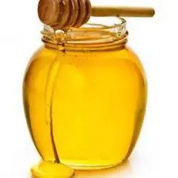 عسل شهد کام 2000 گرم