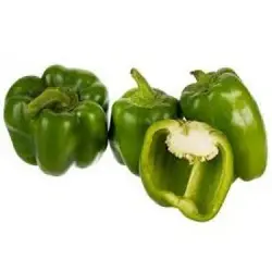فلفل دلمه ای  سبز (کیلویی)