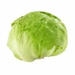 کاهو پیچ (کیلویی)