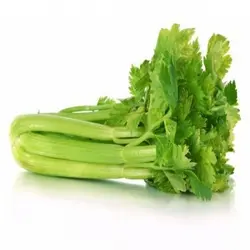 کرفس (کیلویی)