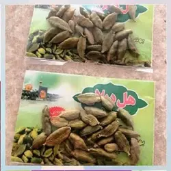 هل دیلان (4 گرم)