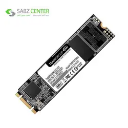 اس اس دی اینترنال تیم گروپ MS30 M.2 2280 256GB Team Group MS30 M.2 2280 Internal SSD 256 GB