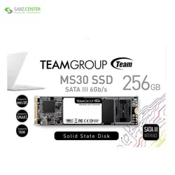 اس اس دی اینترنال تیم گروپ MS30 M.2 2280 256GB Team Group MS30 M.2 2280 Internal SSD 256 GB