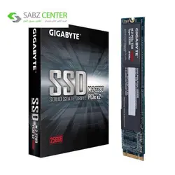 اس اس دی اینترنال گیگابایت GP-GSM2NE8256GNTDظرفیت 256Gigabyte GP-GSM2NE8256GNTD Internal SSD Drive - 256GB