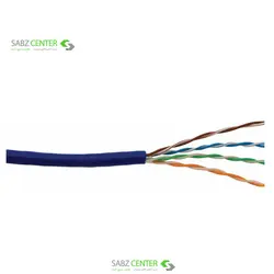 دی لینک کابل شبکه با روکش پی وی سی CAT5 بدون شیلد NCB-5EUBLUR-305D-Link NCB-5EUBLUR-305 CAT5E UTP 24AWG Solid