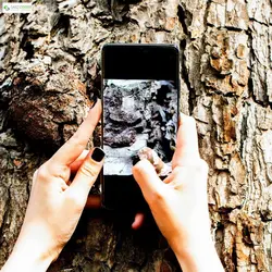 گوشی موبایل سامسونگ Galaxy S21 Ultra 5G 256GBSamsung Galaxy S21 Ultra 5G SM-G998B/DS Dual SIM 256GB With 12GB RAM Mobile Phone