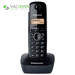 تلفن بی سیم پاناسونیک مدل KX-TG1611 Panasonic KX-TG1611 Wireless Phone