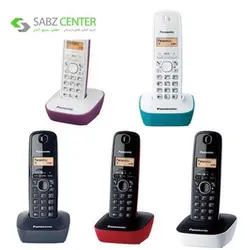 تلفن بی سیم پاناسونیک مدل KX-TG1611 Panasonic KX-TG1611 Wireless Phone