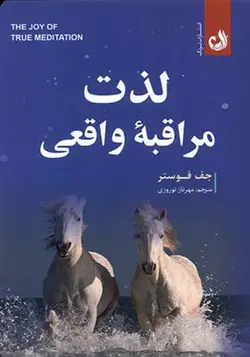 کتاب لذت مراقبه واقعی اثر جف فوستر