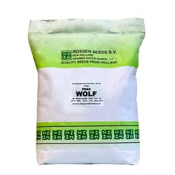 بذر نخود فرنگی ولف شرکت Rossen Seeds