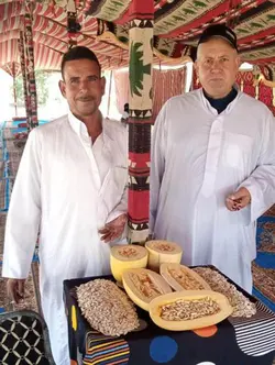 بذر کدو آجیلی هیبرید لیندا بسته 5 عددی