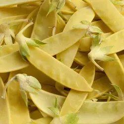 بذر نخود فرنگی طلایی Golden Sweet آمریکایی بسته 10 عددی