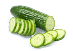 بذر خیار 3177 هیبرید فوق پربار گلخانه ای داربستی دانژه