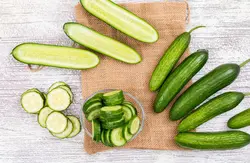 بذر خیار 3177 هیبرید فوق پربار گلخانه ای داربستی دانژه