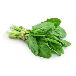 بذر اسفناج هیبرید مقاوم به گرما oriental king آمریکایی بسته 50 عددی