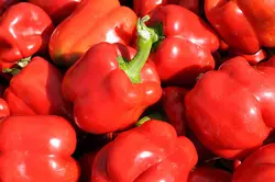 بذر فلفل دلمه قرمز آمریکایی بسته 20 عددی